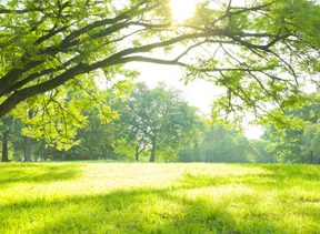 いこいの広場 関西補聴器 Slide3