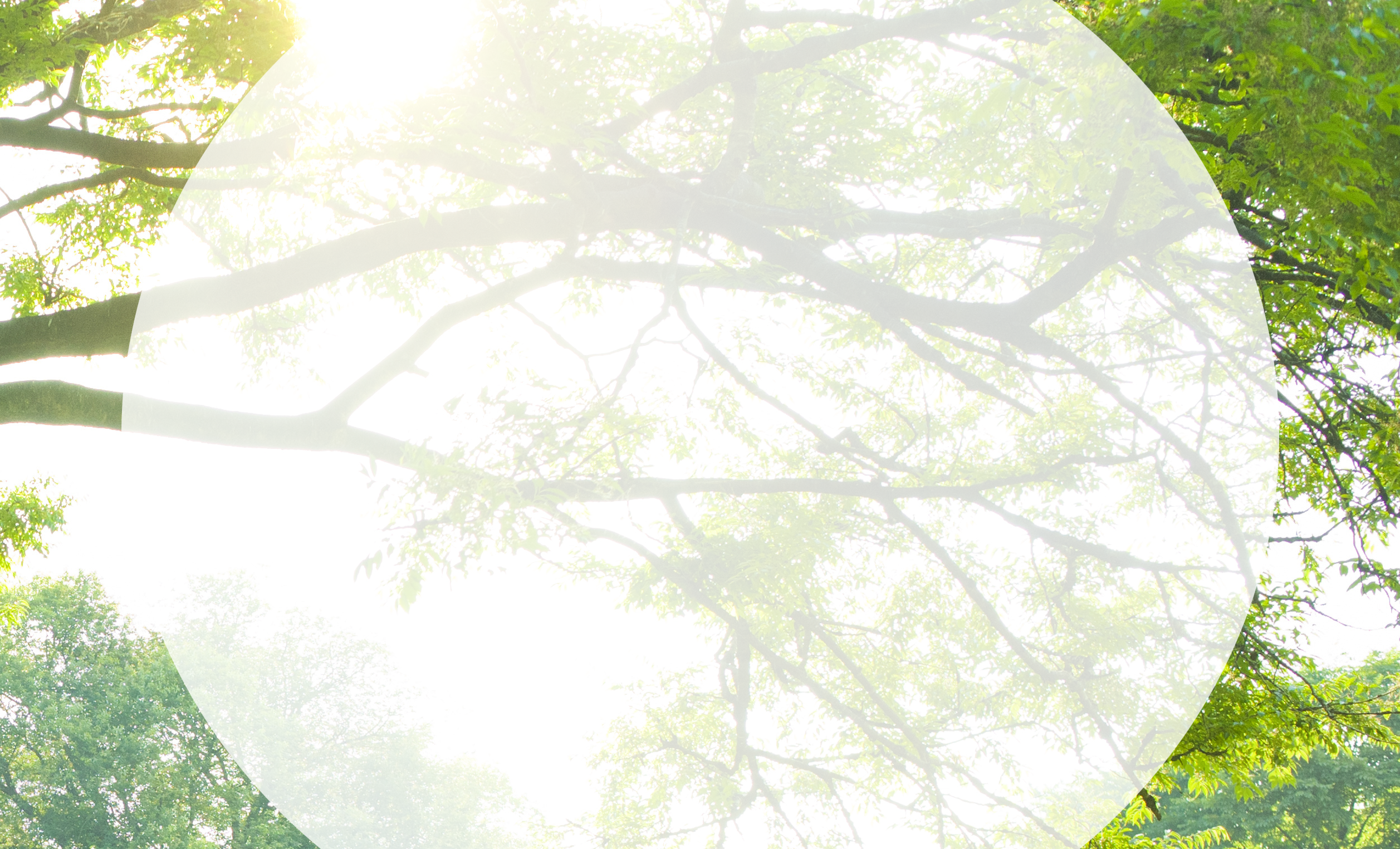 目立ちにくい耳かけ型